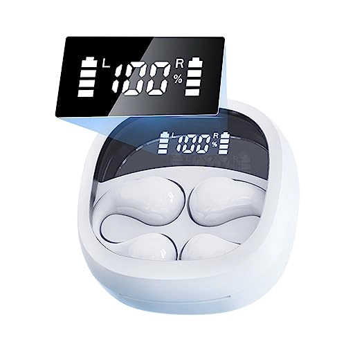 BT 5.3 Wireless Earbud