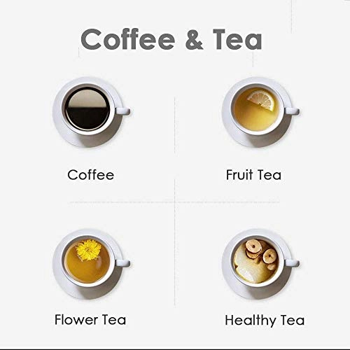 Bean to Cup - Grinder Permanent Filter