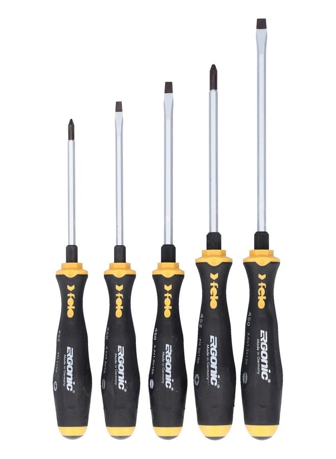 ERGONIC Slotted and Phillips Screwdriver Set (5 Pcs)