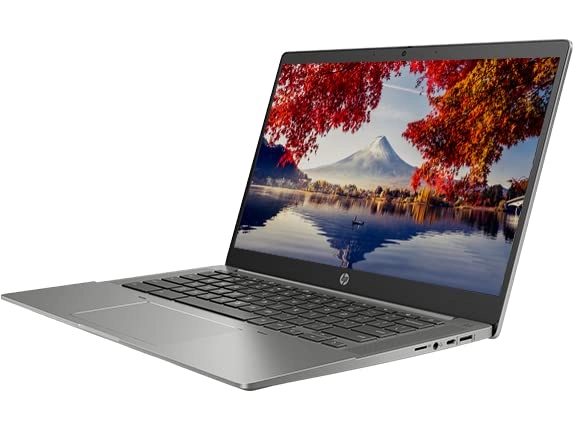 (Renewed) 14" Chromebook - 256GB 8GB Core i5