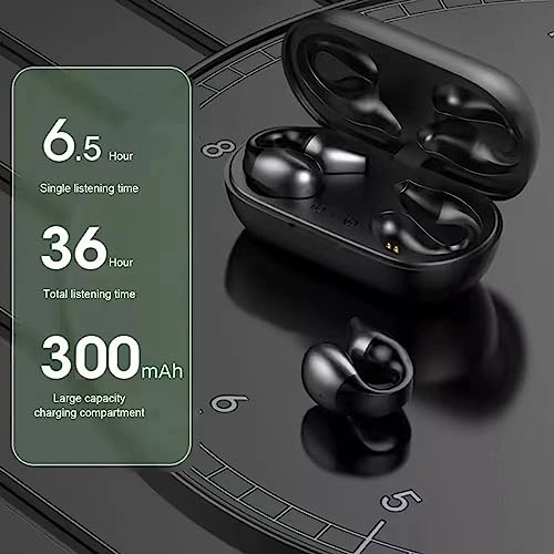 BT 5.3 Wireless Earbud