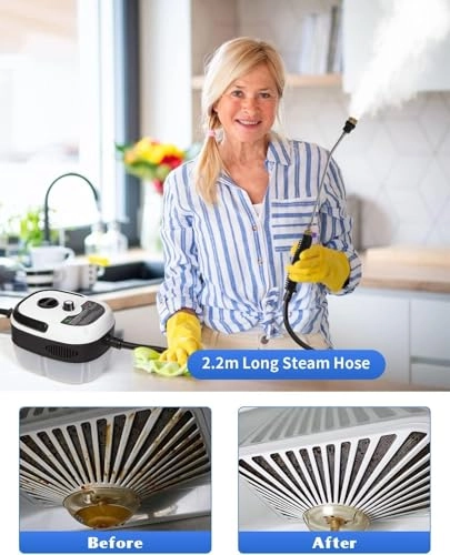 Handheld Steam Cleaner