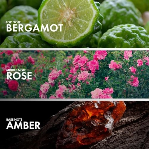 AMBERY ROSE Eau de Parfum 50ml