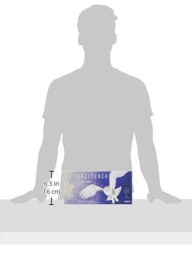 On Wings: European Birds