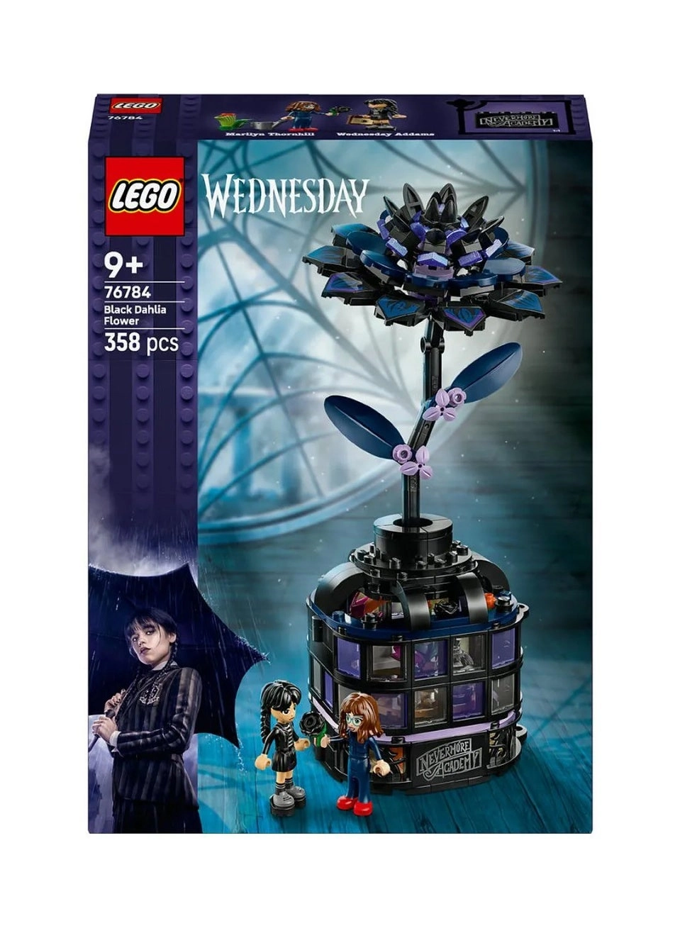 Wednesday Black Dahlia Flower