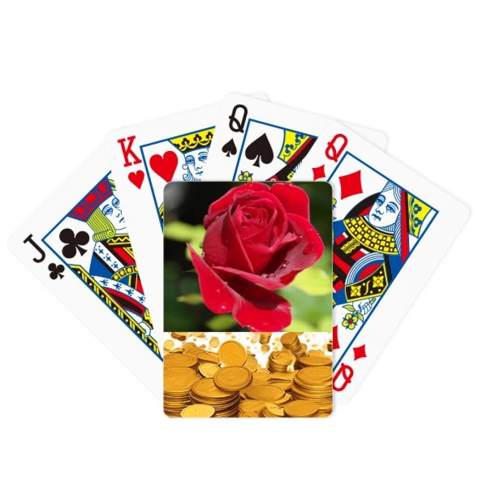 no/no Playing Card - 1 piece(s)