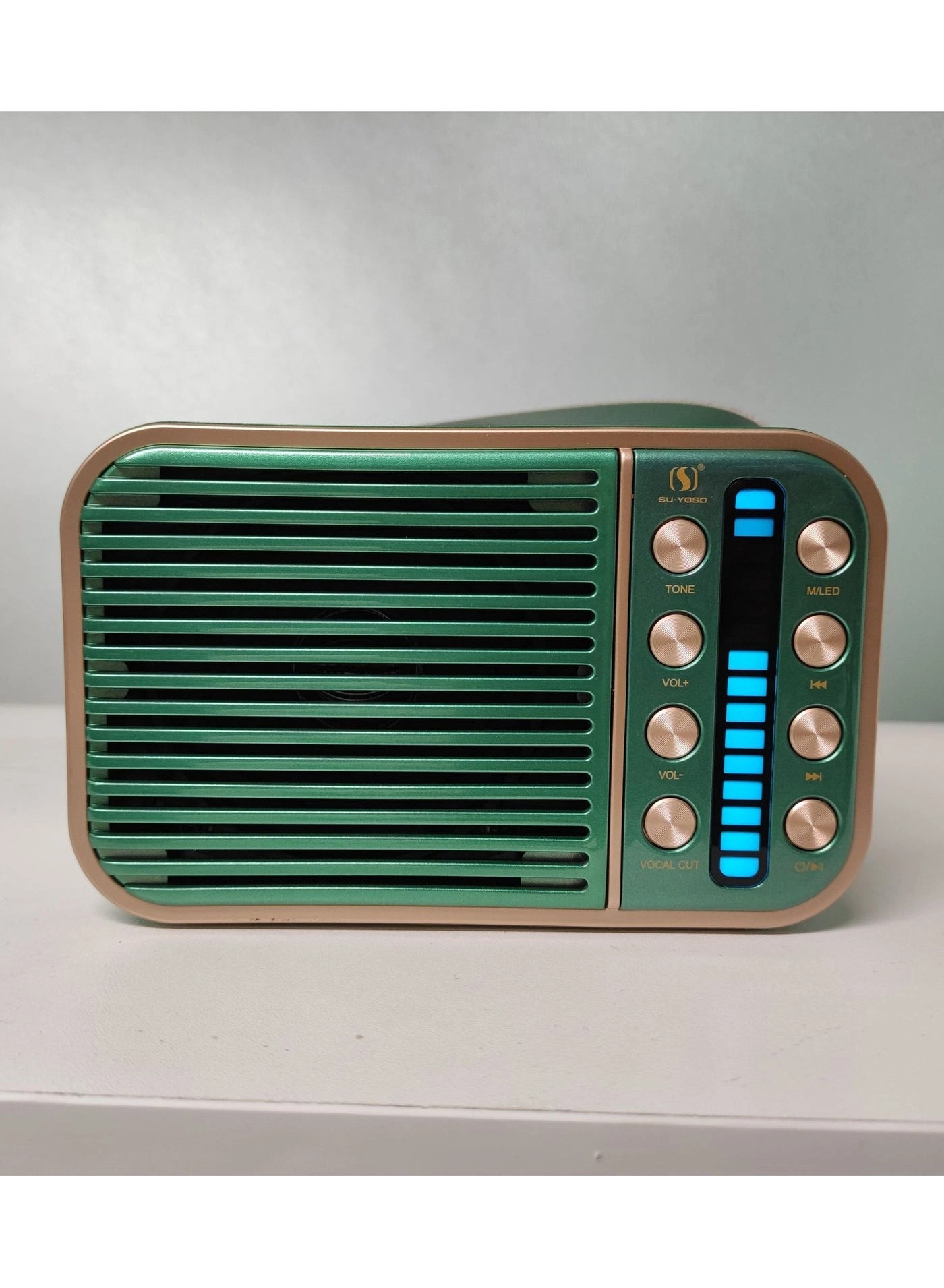 Dual Microphone Sound Package Wireless Microphone