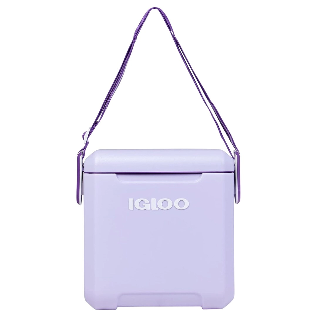 Tag Along Too 00032971