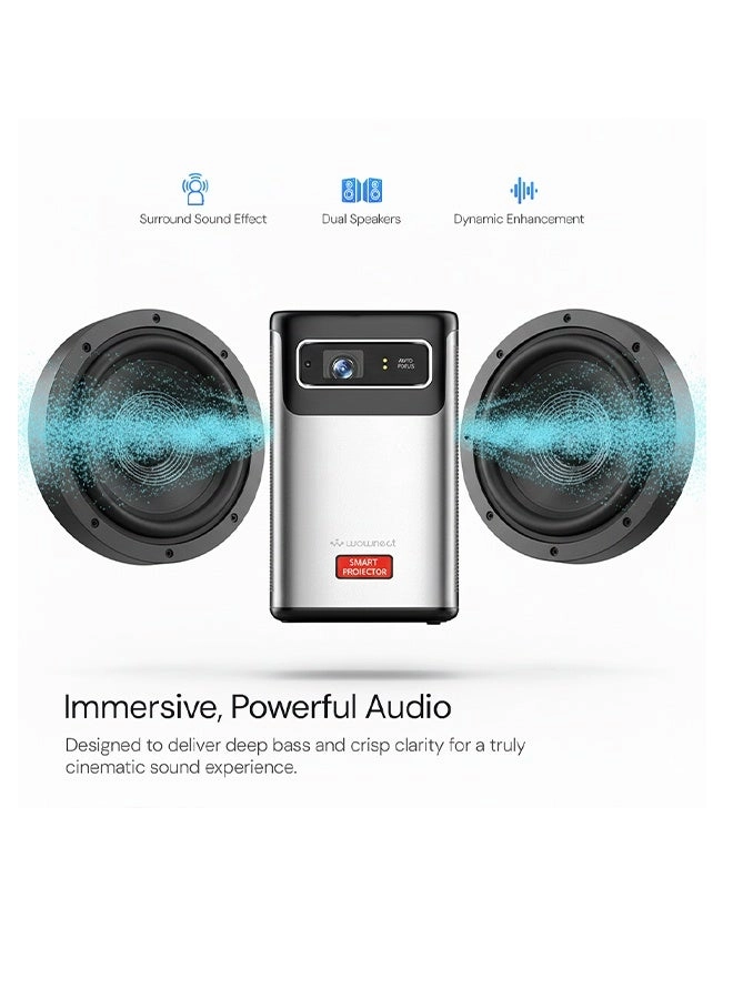 Sky011 300 ANSI Lumens