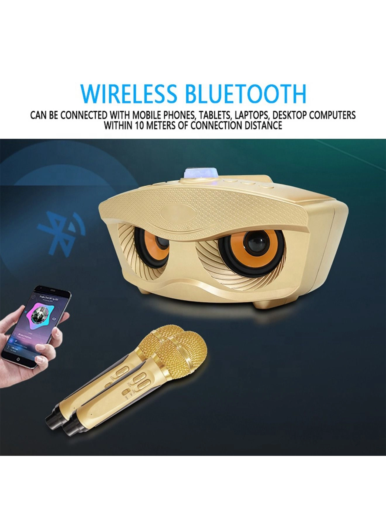 SD306 - Dual Wireless Microphone Bluetooth Stereo