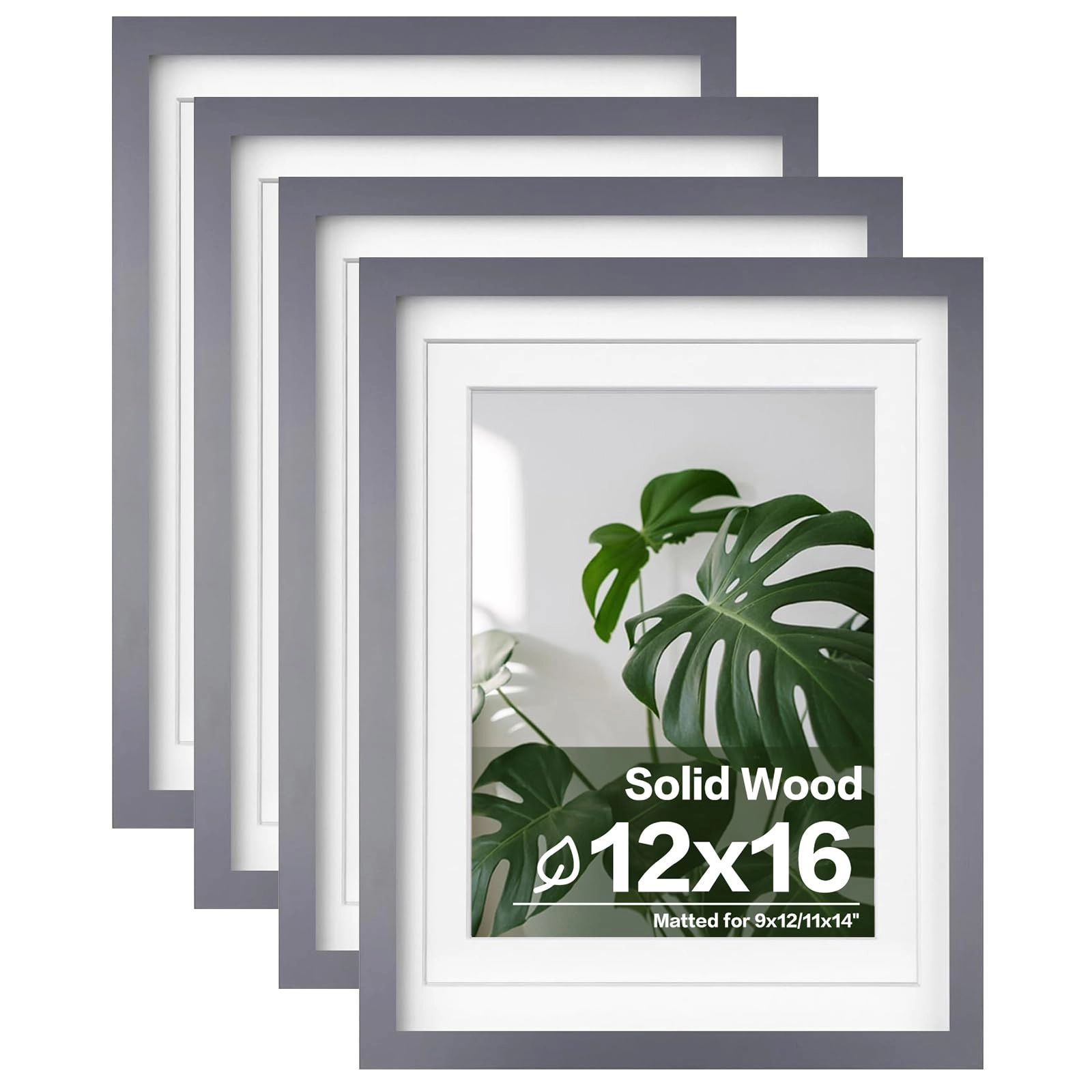 picture frames - 12x16