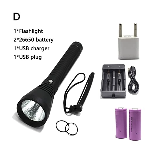 Professional Submersible Light