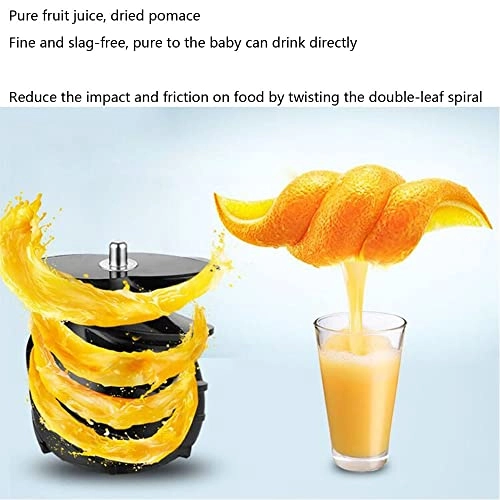 DASIZHOU - 180W 300 Milliliters