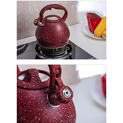Tea Kettle - Stainless Steel 3L