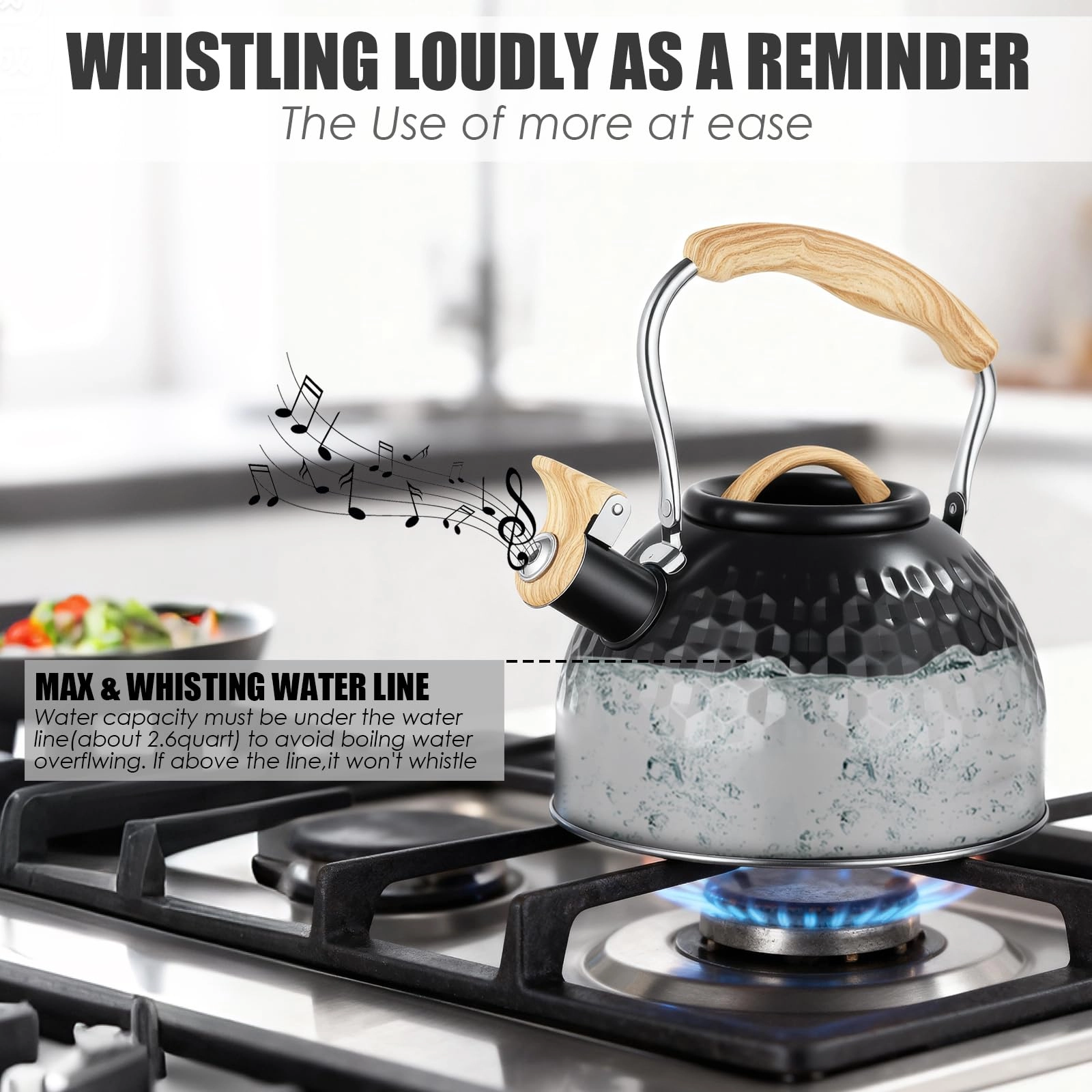 Stove Top Kettle - 3L