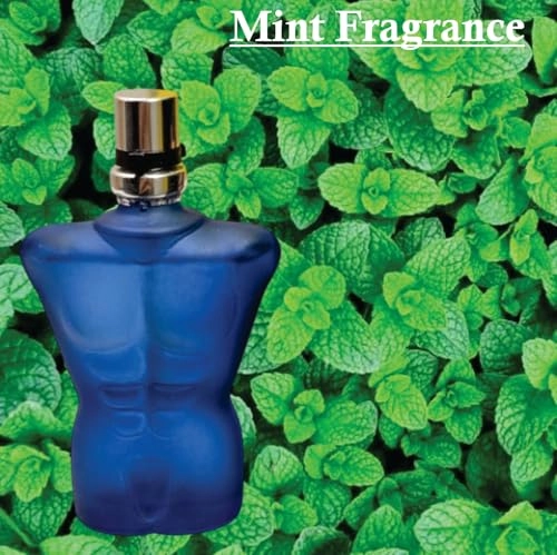 No.272 Eau de Parfum 25ml