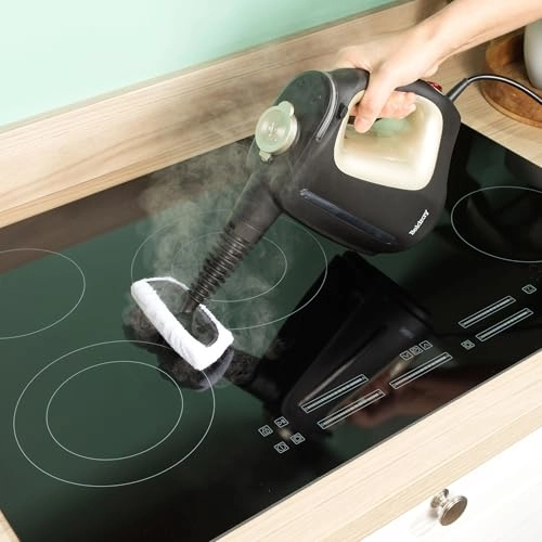 15-in-1 Steam Cleaner - 5.5E+2 Milliliters