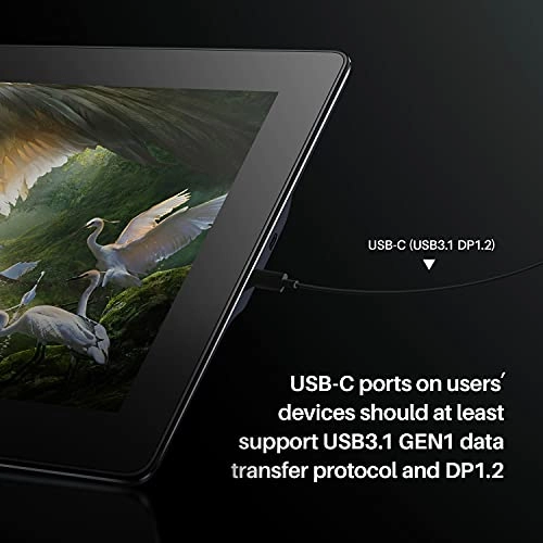 KAMVAS Pro 16 - 8192 Levels