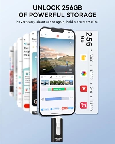 USB Stick - USB 3.0 256GB