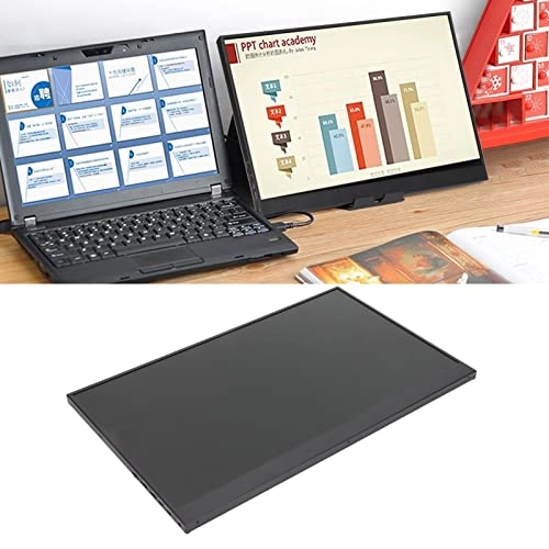 Portable Monitor - 17.3in 1600x900