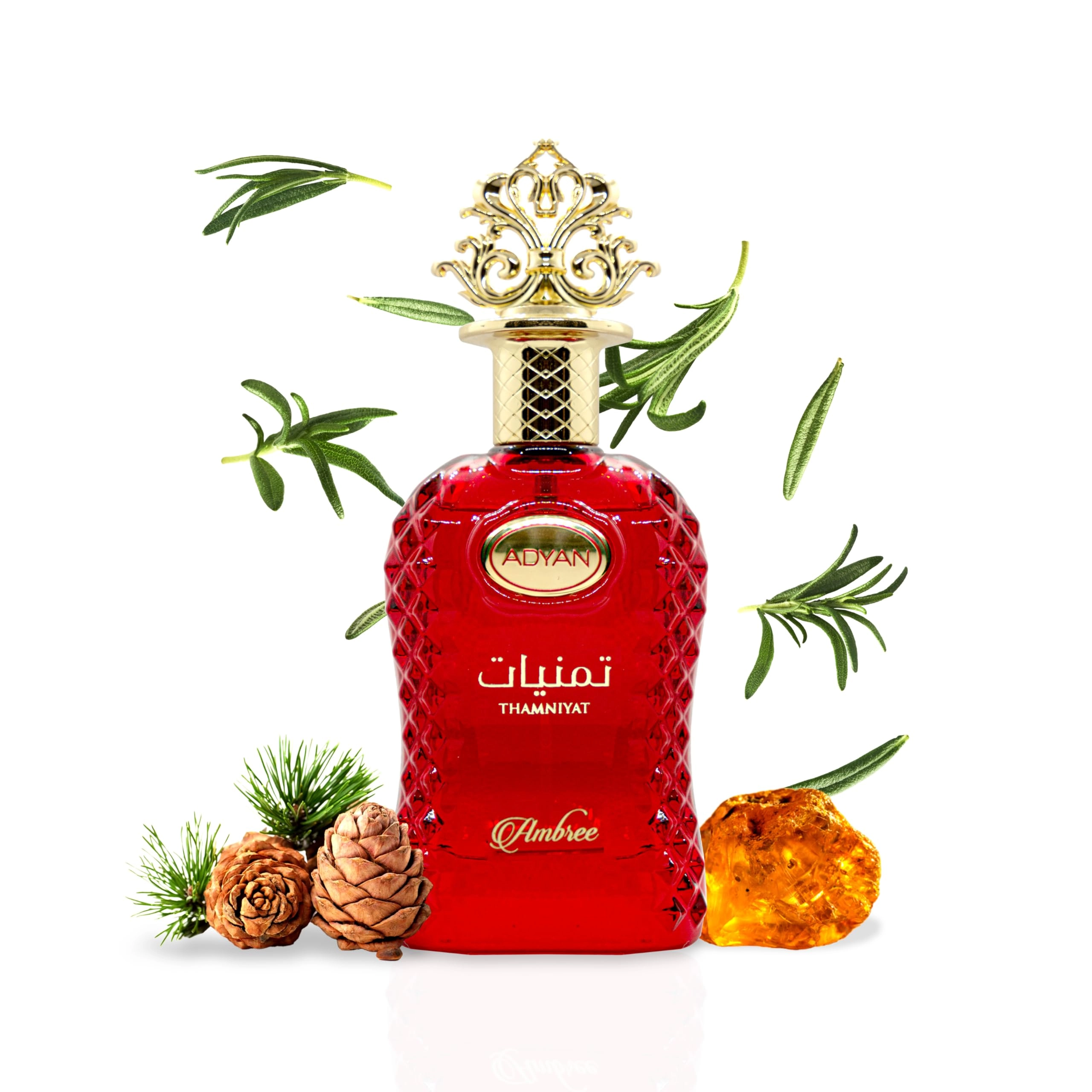 OUDH AL ANFAR MANUFACTURING L.L.C Thamniyat Ambree Eau de Parfum - 100 ml