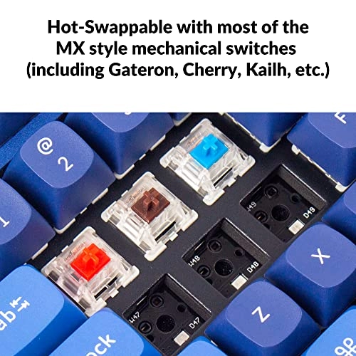 Q1-O2 - Wired/Wireless