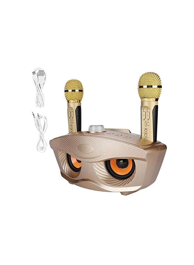 Karaoke Machine - 2 Wireless Microphone 10W