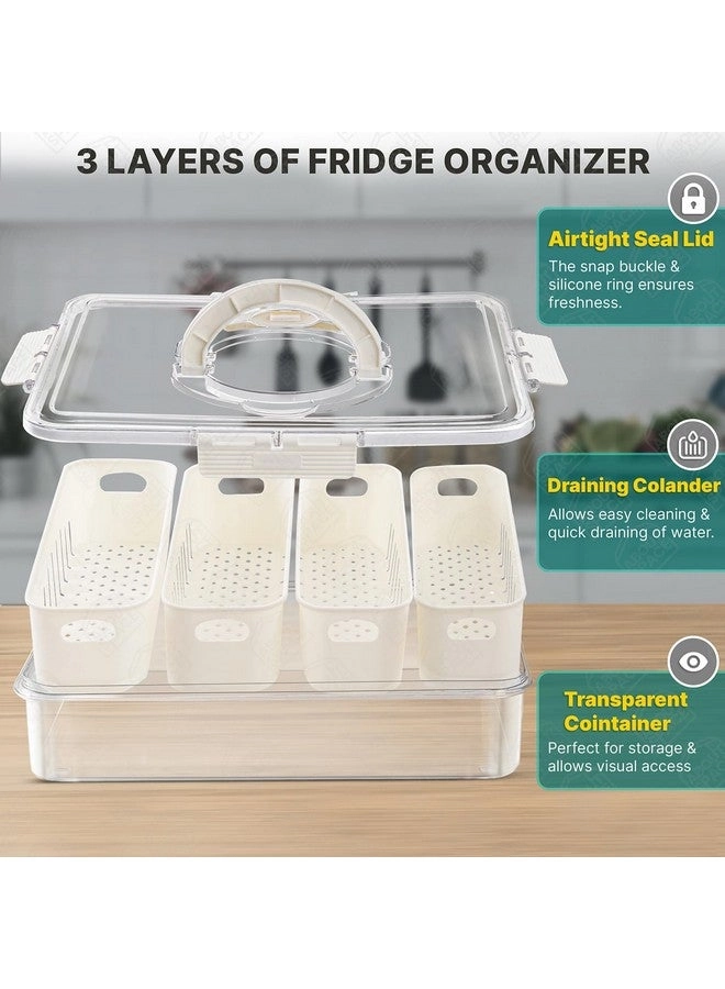 Fridge Organiser - 4 Partition L31 x B24 x H7cm Airtight