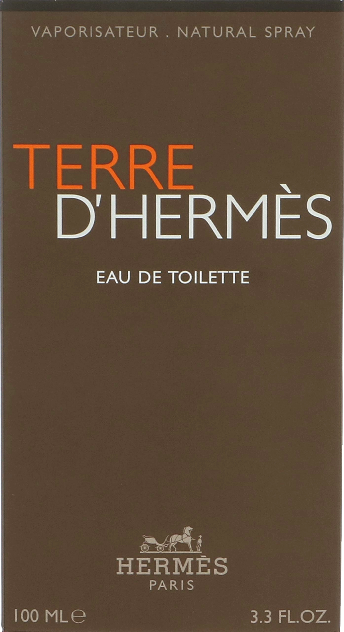 Terre D' Hermes Eau de Toilette 100ml