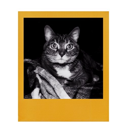 4673 - 8 Instant photos length 8.8 cm height 10.8 cm