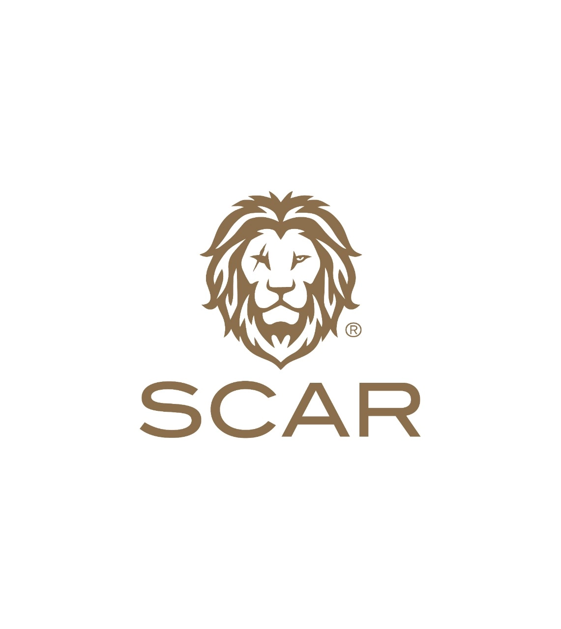 Solido Eau de Parfum - 110 ml
