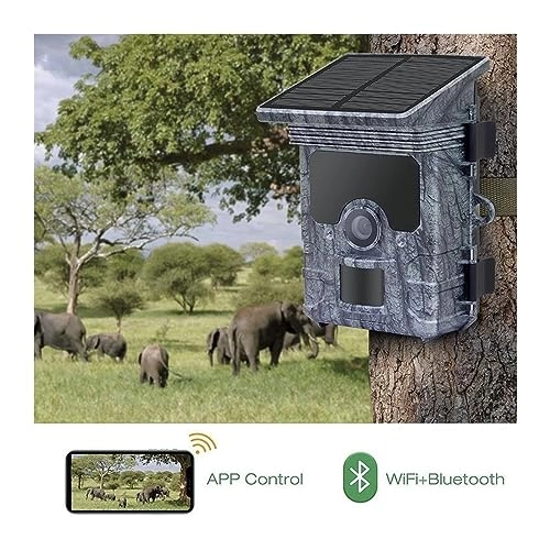 Wildlife Camera - 8MP