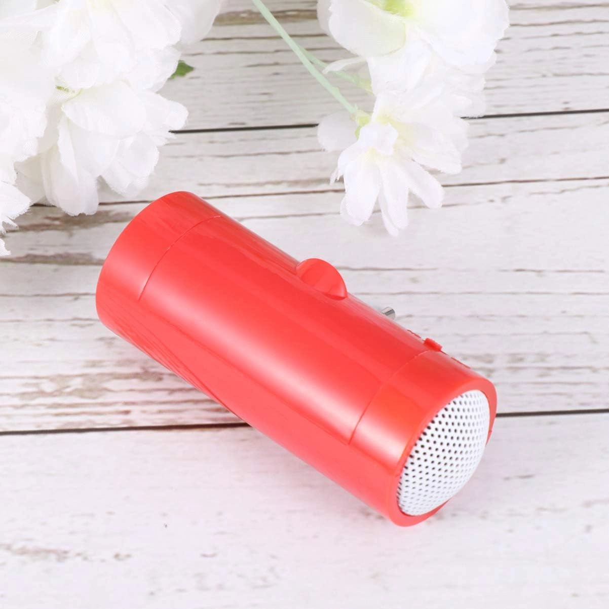 Mini Portable Speaker - 2W