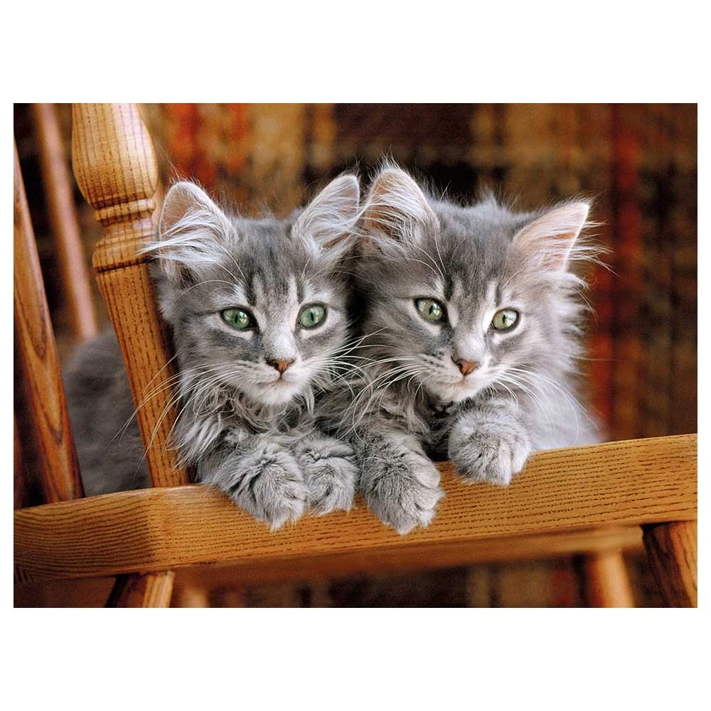 Kittens Puzzle (AL-30545) - 500 pcs