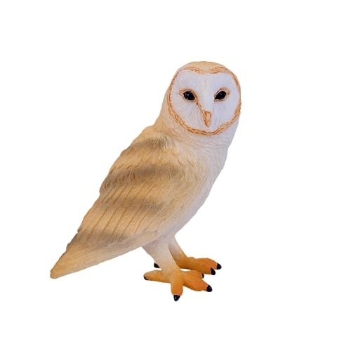 Play and Dream Barn Owl