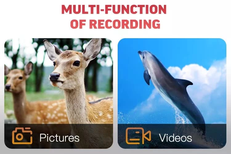 Trail Camera - 1080P Night Vision