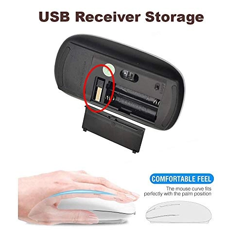 2.4G Ergonomic Portable USB Office Mouse - Wireless