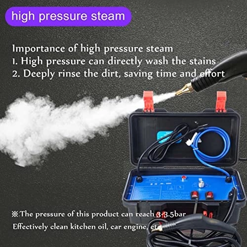 High Pressure Steam Cleaner - 5.0BAR