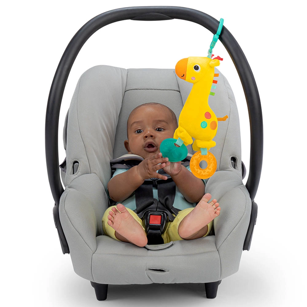 Safari Soother - Rattle Teether