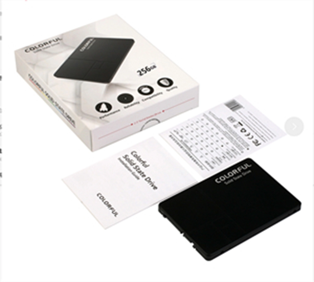 SL500 - 256GB 2.5-inch