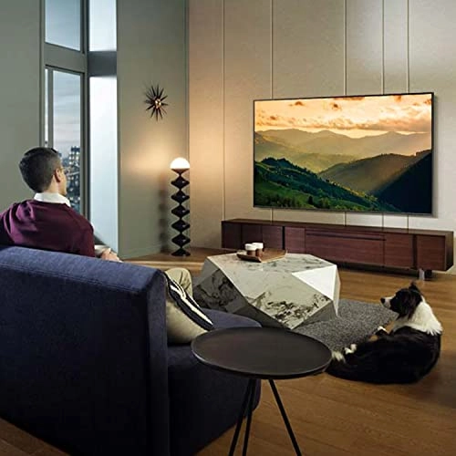 QA65QE1CAUXZN - 65 inch