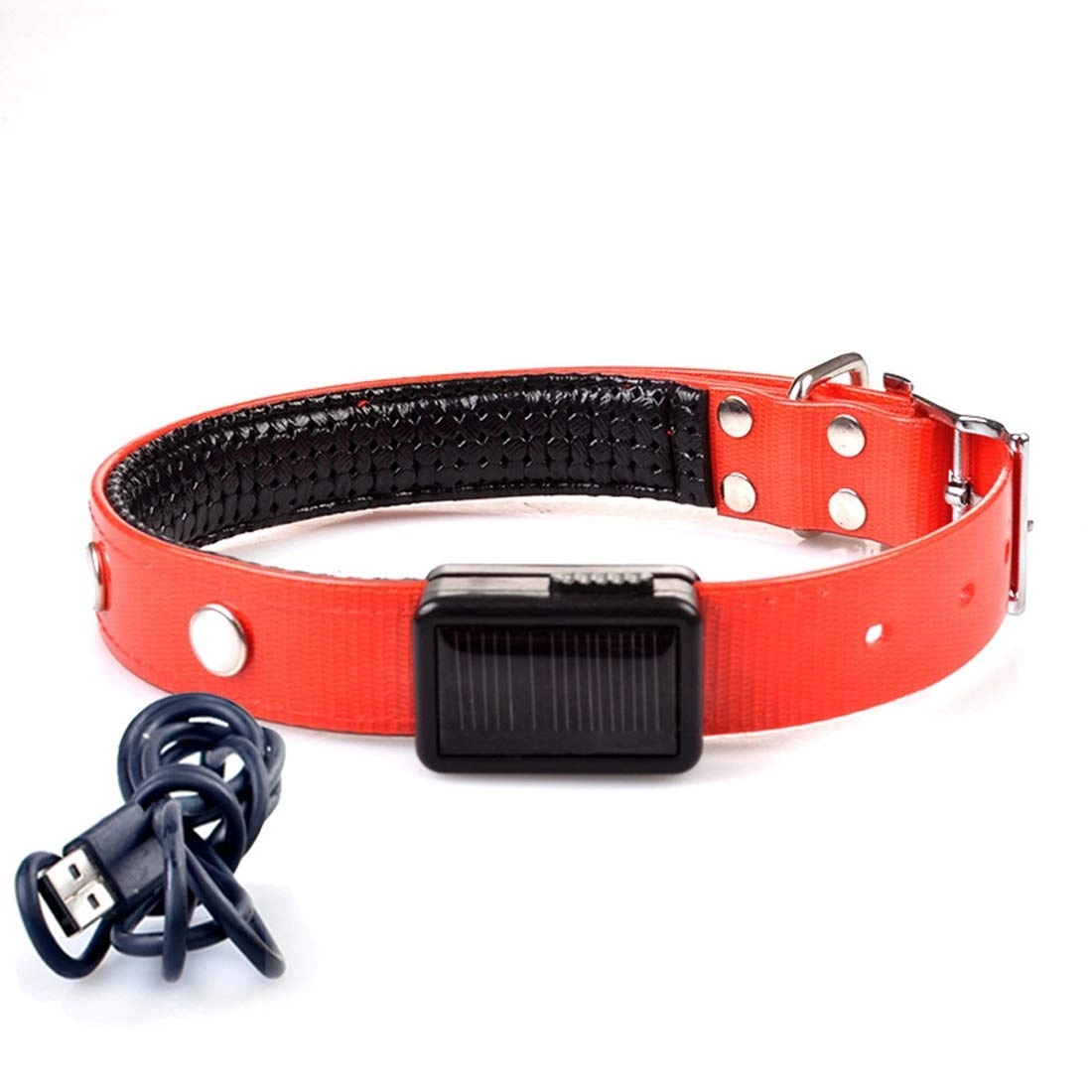 Pet Collar - Charging (S) Dog