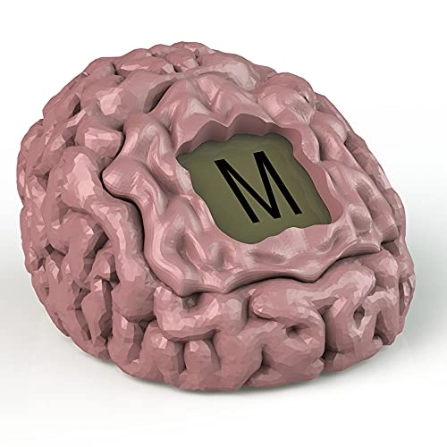 Brain Fart: The Party Game Where Silence is Deadly!