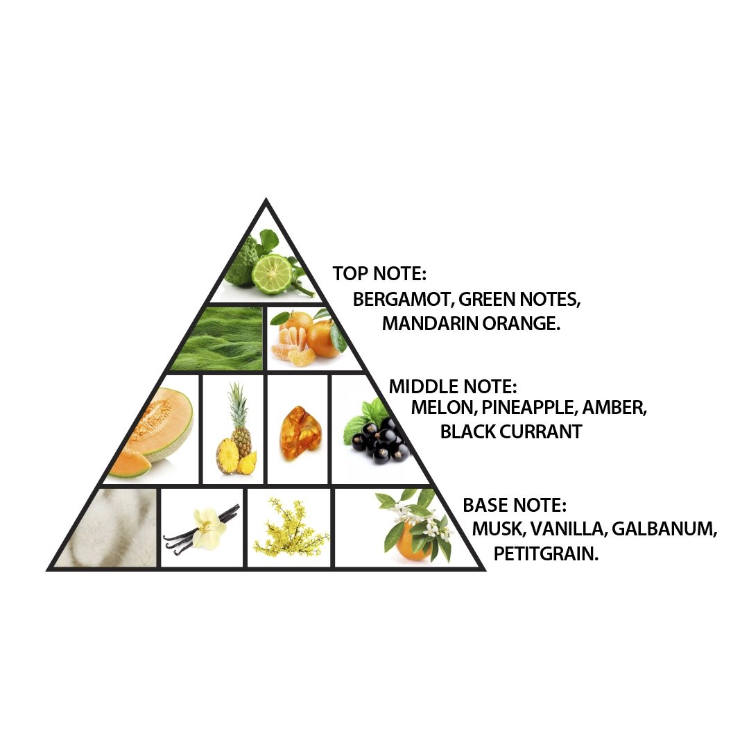 Amber Oud Aqua Dubai Eau de Parfum 100 ml