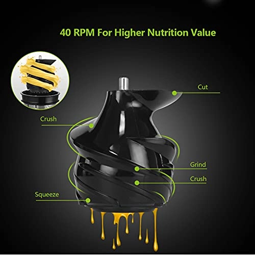 Slow Masticating Juicer - 200W