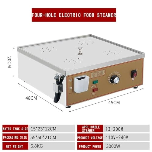 Electric steamer
