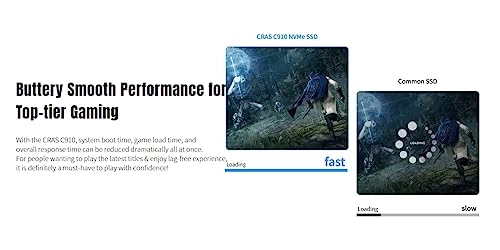 CRAS C910 - 4TB M.2 2280