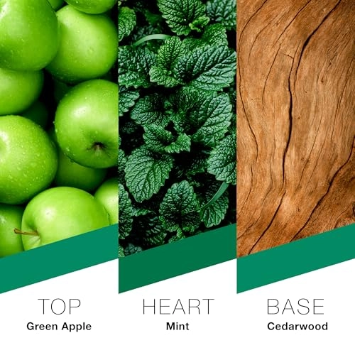 LONDON Eau de Parfum - 100ml