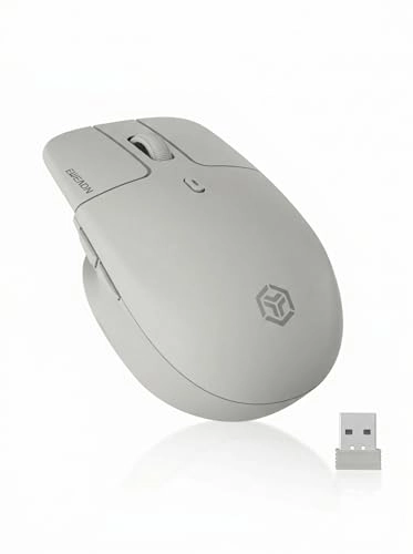 Q21 Mouse - 2.4G Bluetooth