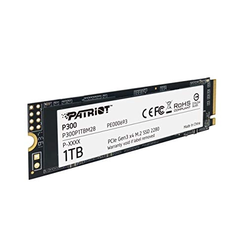P300 - 1000 GB M 2
